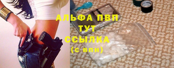 крисы Осташков