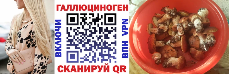 Купить закладки  Заозёрск  Галлюциногенные грибы мухоморы 